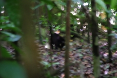 6_16_2006_9_45_37_AM_0218