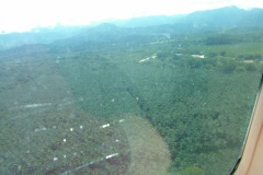 6_17_2006_8_33_35_AM_0294