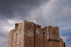 DCP_5875