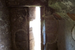 DCP_5879