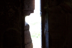DCP_5880