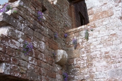 DCP_5881
