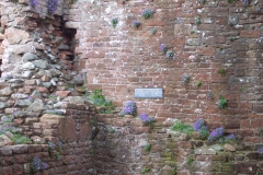 DCP_5889