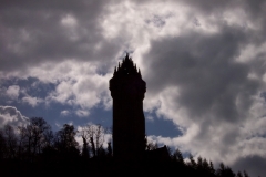 DCP_5928