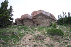 DCP_2476