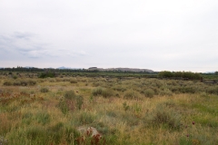 DCP_2492