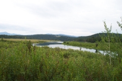 DCP_2498