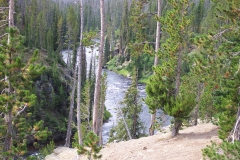 DCP_2502
