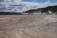 DCP_2537