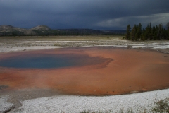 DCP_2539