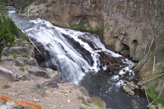 DCP_2565