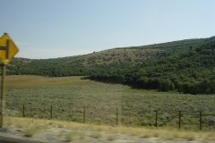 DSC01331