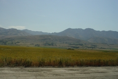 DSC01336