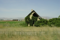 DSC01343