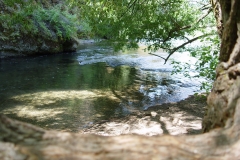 DSC01360