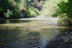 DSC01364