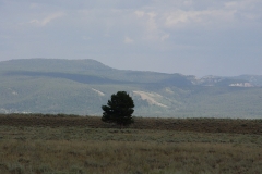 DSC01530