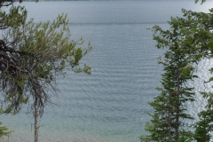 DSC01560