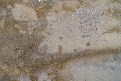 DSC01796