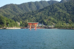 DCP_2005