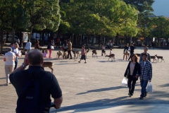 DCP_2008