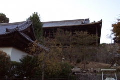 DCP_2033