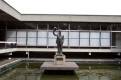 DCP_1001