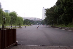 DCP_1010