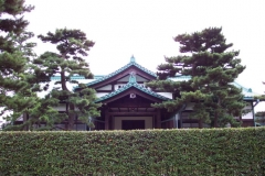 DCP_1020