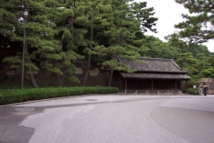 DCP_1023