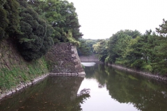 DCP_1026