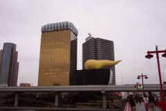 DCP_1048