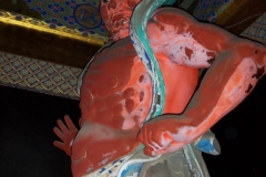 DCP_1087