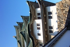 DCP_1211