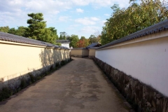 DCP_1383