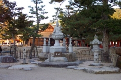 DCP_1509