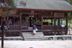 DCP_1530