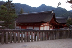 DCP_1548