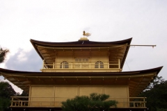 DCP_1737