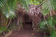 DCP_2696