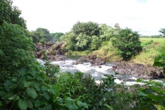 DCP_2729