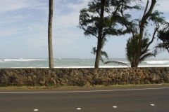 DSC02486