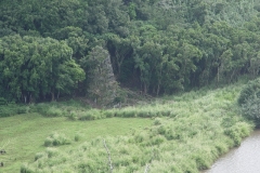 DSC02497