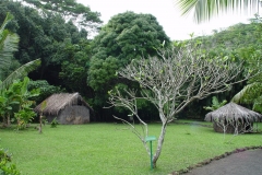 DSC02504