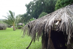 DSC02506