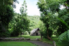 DSC02537