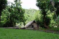 DSC02538