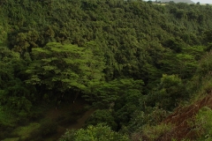 DSC02546