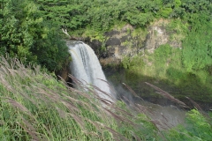 DSC02547