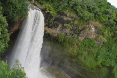 DSC02550